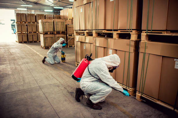 Best Local Pest Control Services  in Dewey, OK
