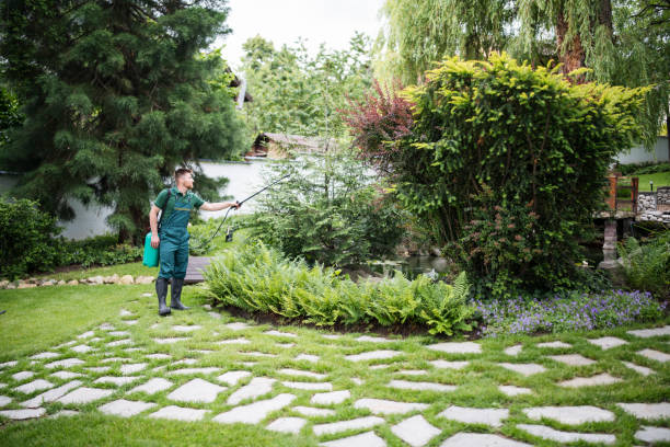 Best Best Pest Control Companies  in Dewey, OK