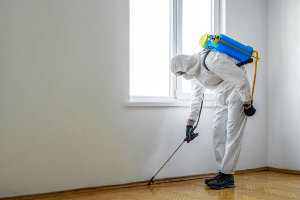 Best Affordable Pest Control Services  in Dewey, OK