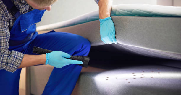Best Commercial Pest Control Services  in Dewey, OK
