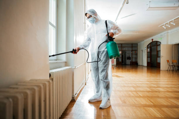 Best Termite Control Services  in Dewey, OK