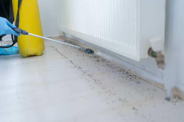 Best Residential Pest Control  in Dewey, OK