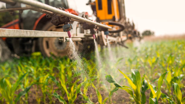 Reliable Dewey, OK Pest Control Solutions
